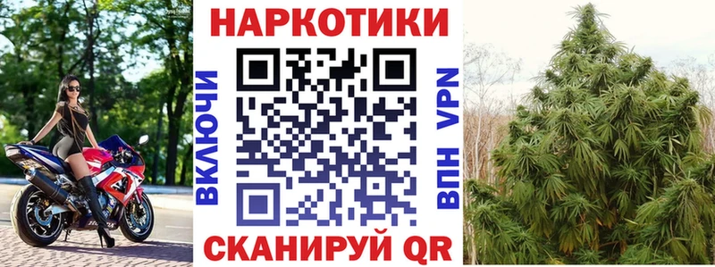 Купить Каннабис  МЕФ  ГАШ  Гусев