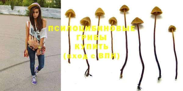 стафф Туринск