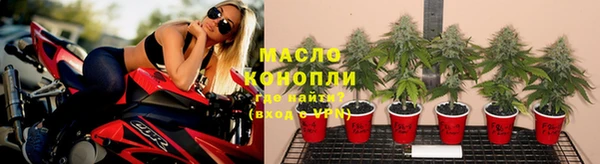 спиды Тында