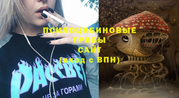 стафф Туринск